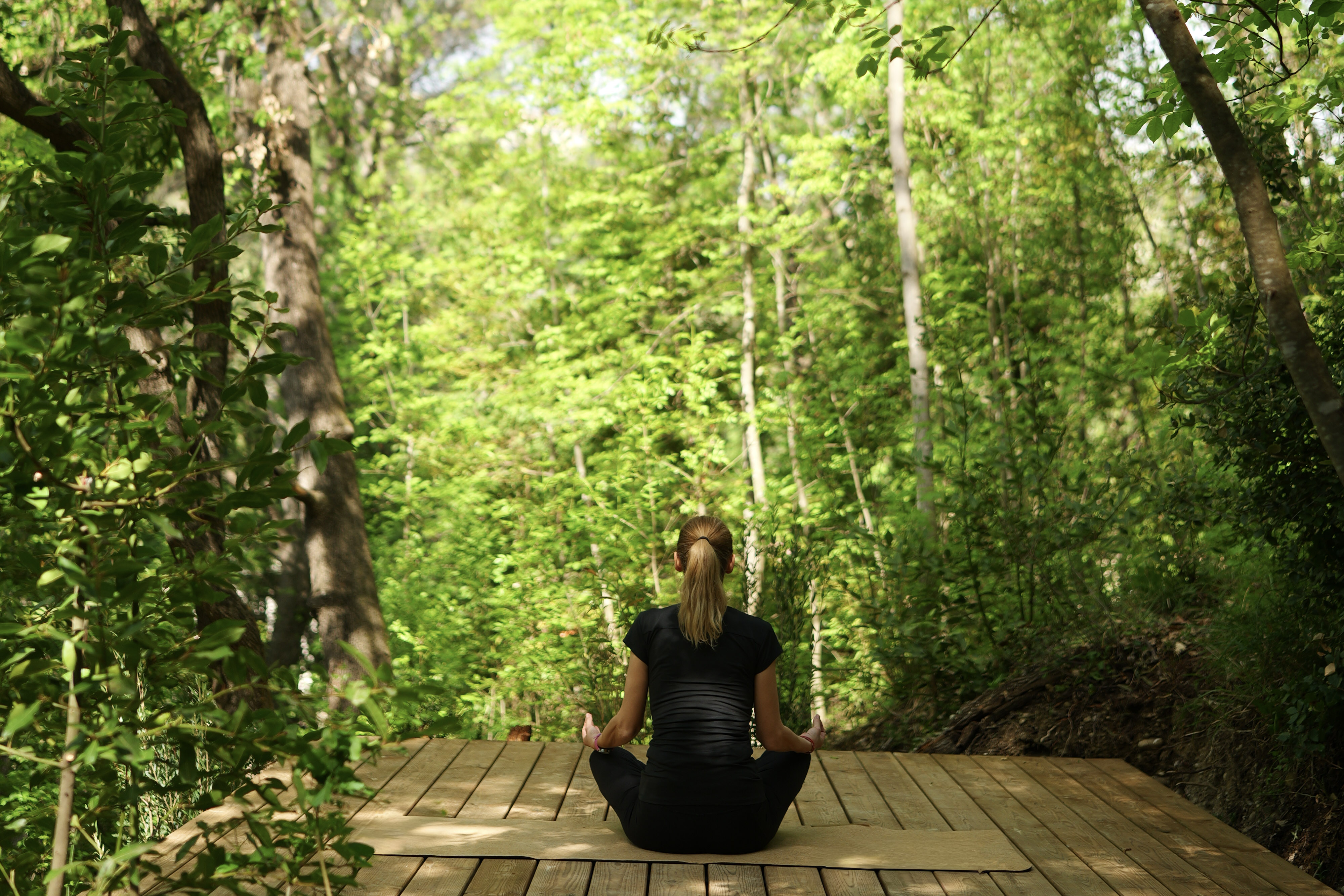 Orion Treehouses dévoile sa forêt enchantée : plateforme yoga en canopée et forest bathing inaugurent la saison 2026